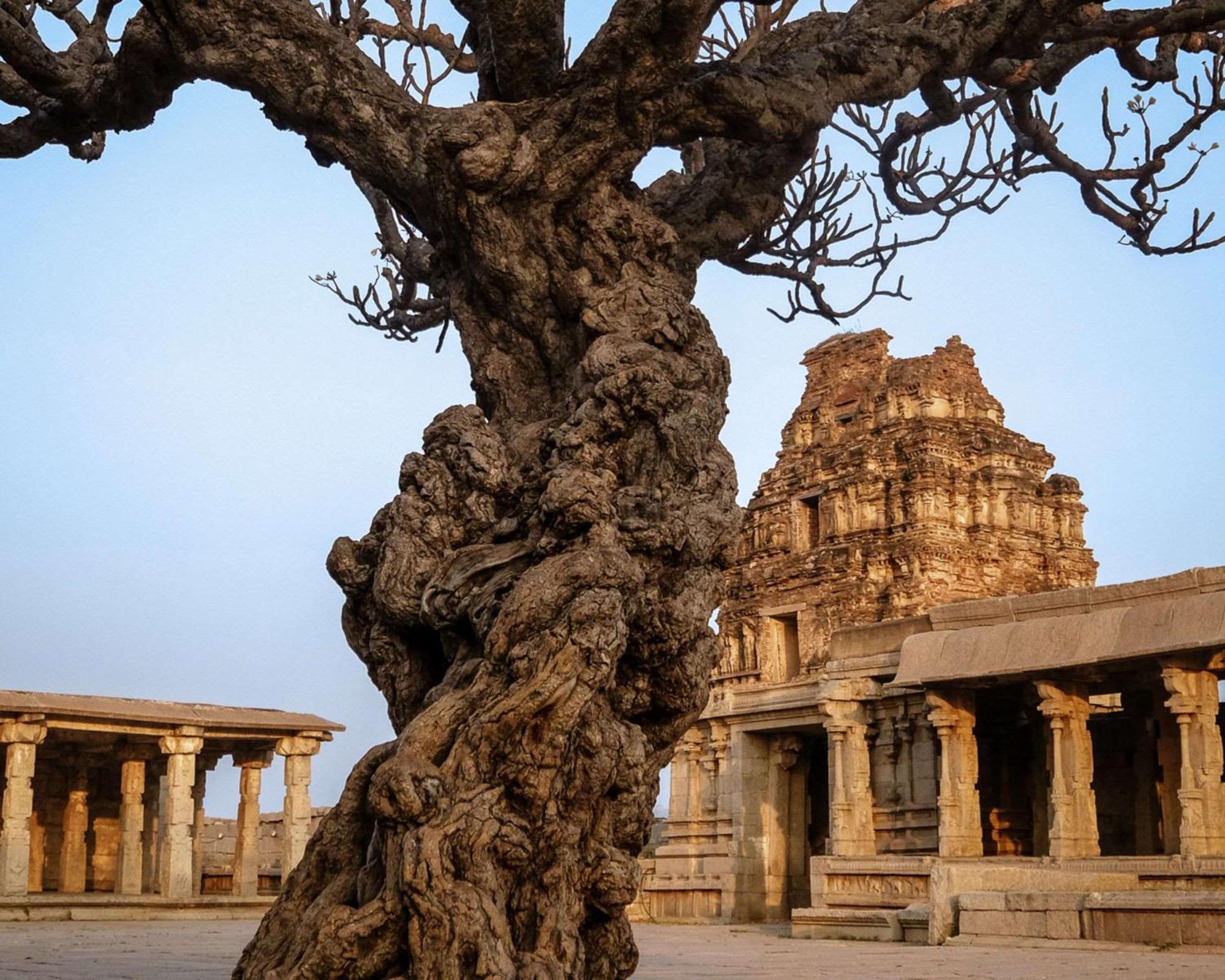 Hyatt Place Hampi Kültér fotó