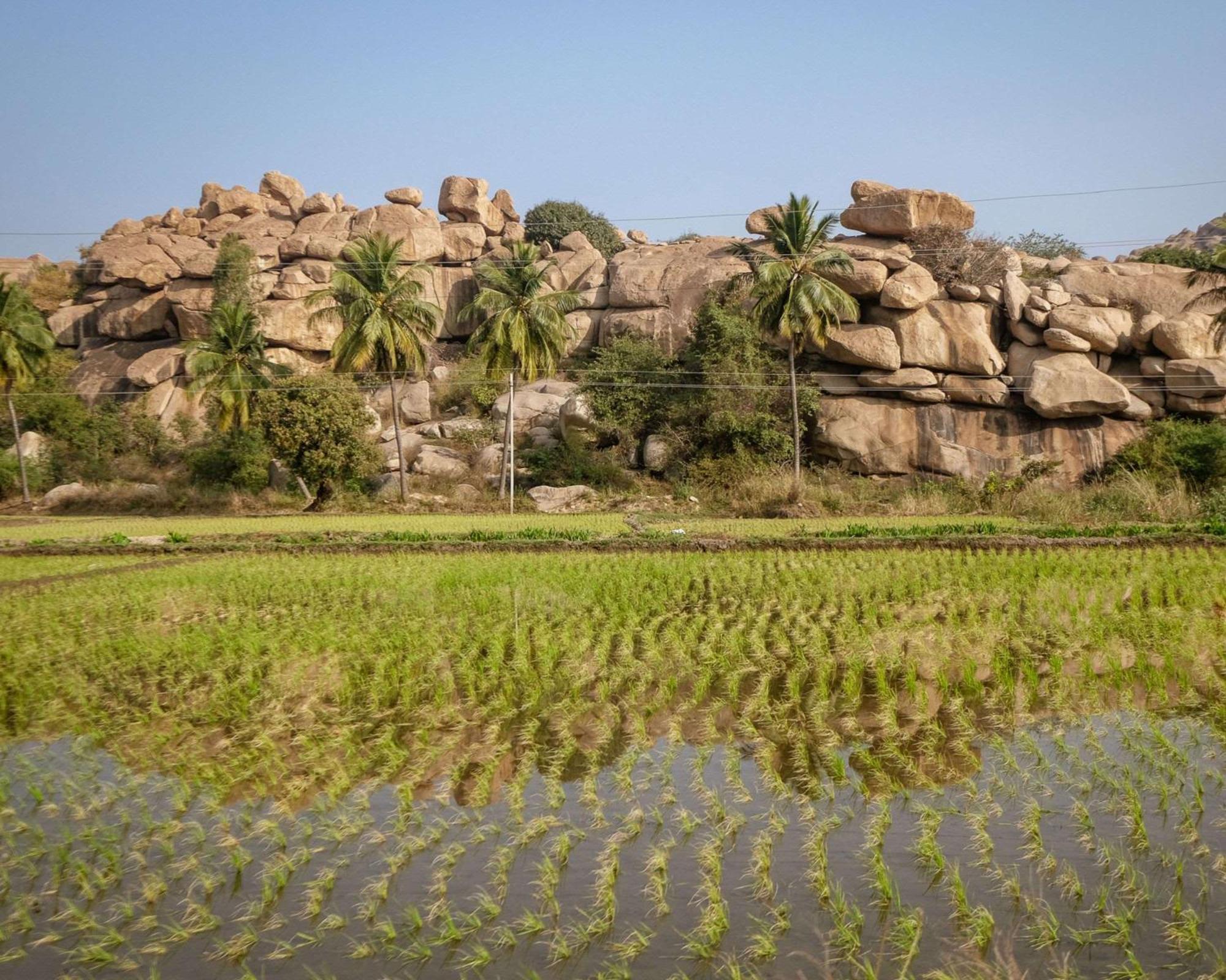 Hyatt Place Hampi Kültér fotó